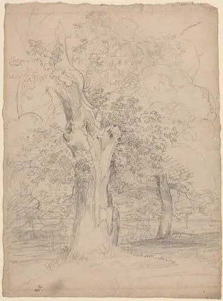 An Ancient Tree with Figures in a Landscape, by Friedrich Salathé, graphite, 1835