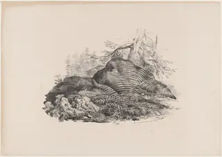 Hilly Forest View with a Fern, by Carl August Lebschée, ink, 1829