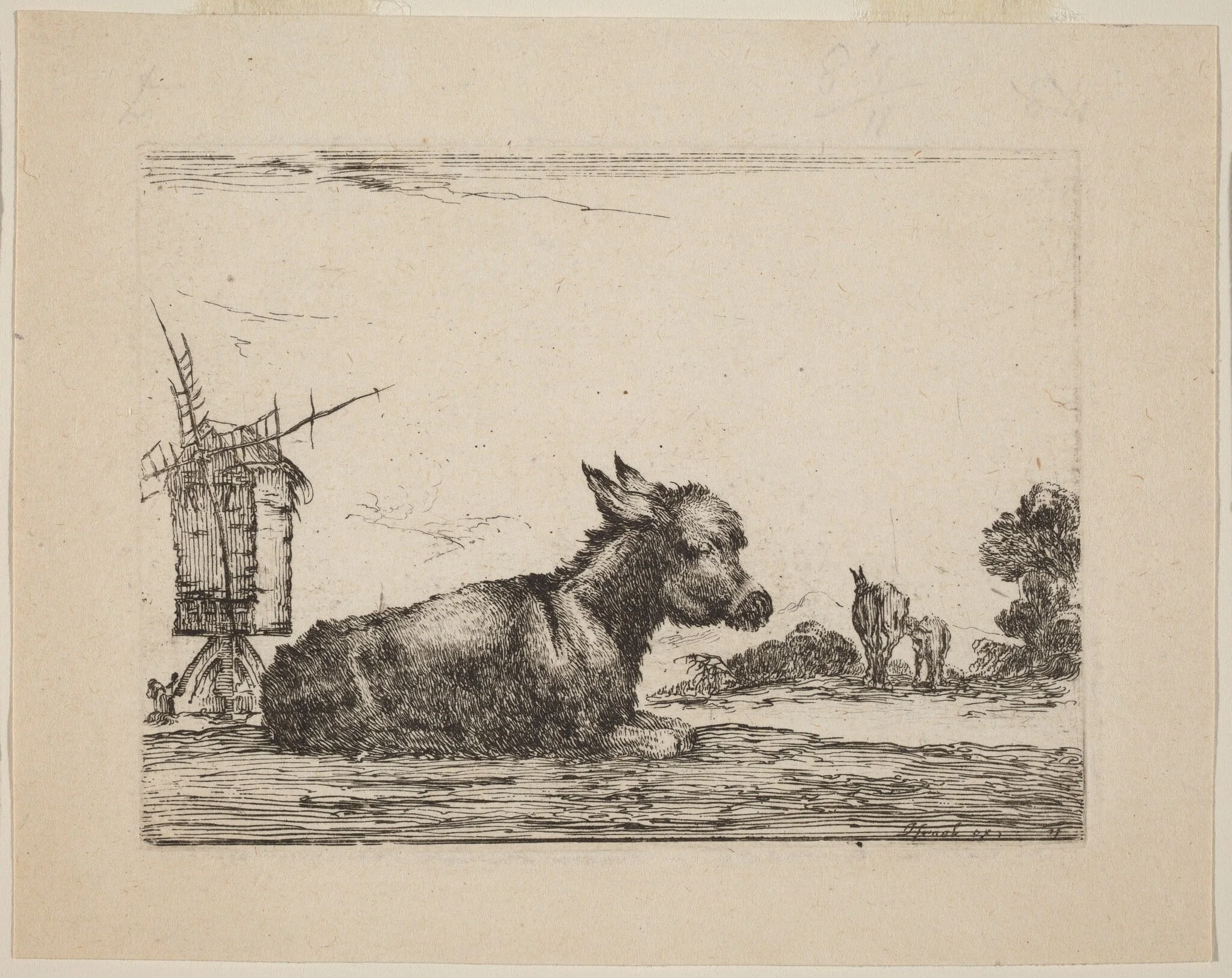 Donkey Resting, detail