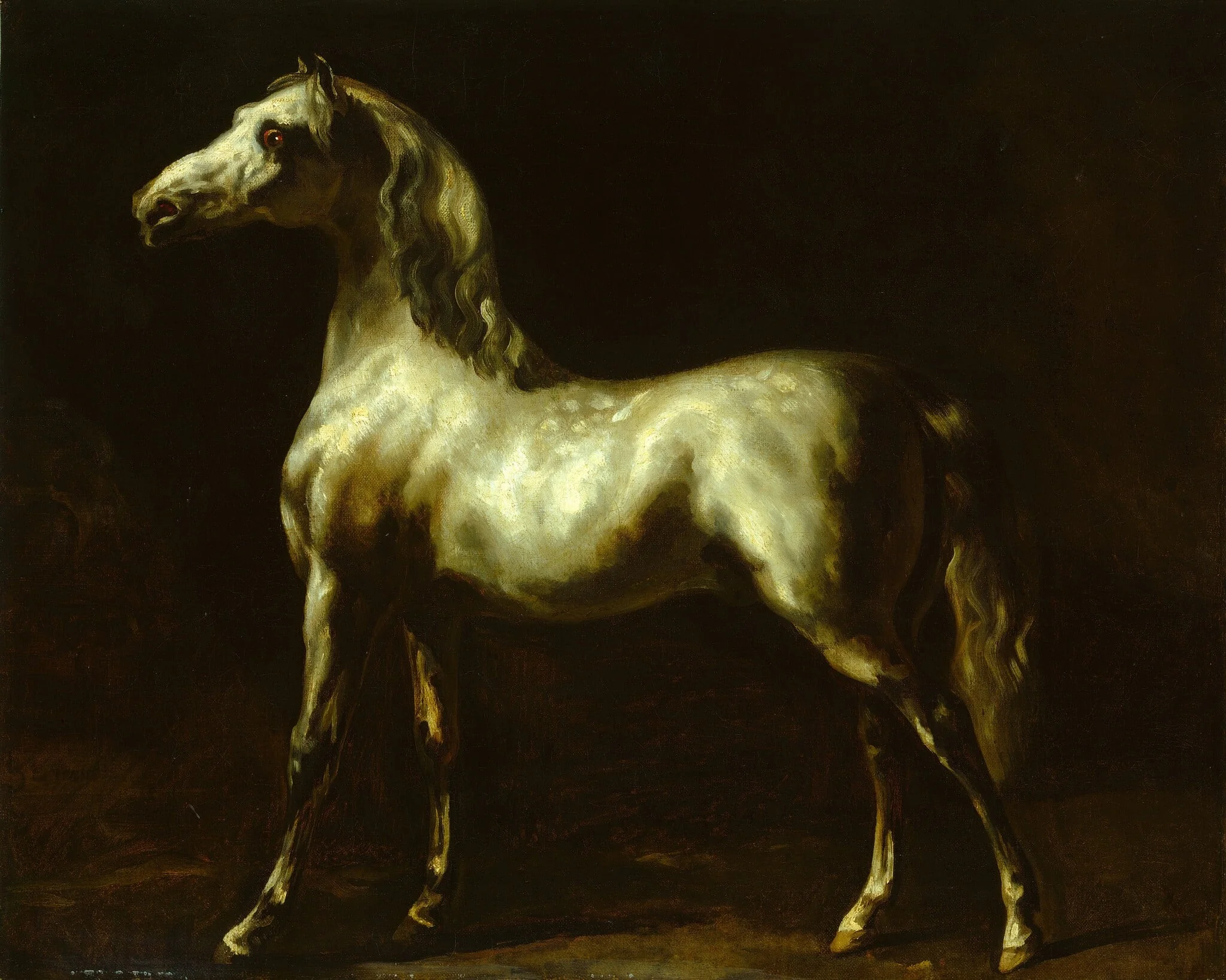 Gray Stallion, detail