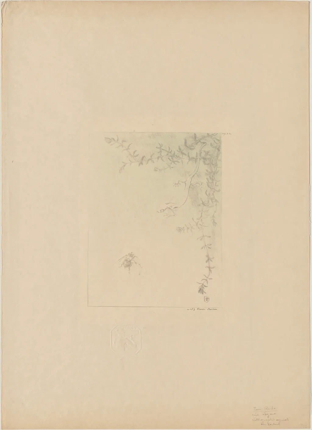 Salamander (La Salamandre), by Pierre Roche, ink, 1895