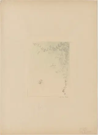 Salamander (La Salamandre), by Pierre Roche, ink, 1895