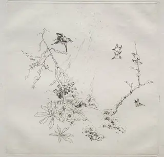 Parisian Service (Haviland service): Snow (no. 6), by Félix Bracquemond, 1875