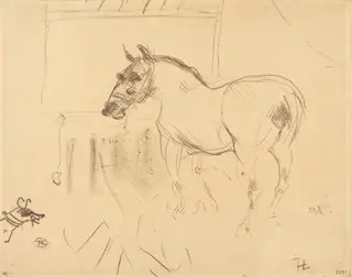 The Small Pony from Calmese (Le petit poney de Calmèse), by Henri de Toulouse-Lautrec, ink, 1899