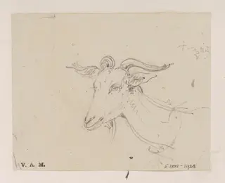 The head and neck of a goat, by George Chinnery, 11