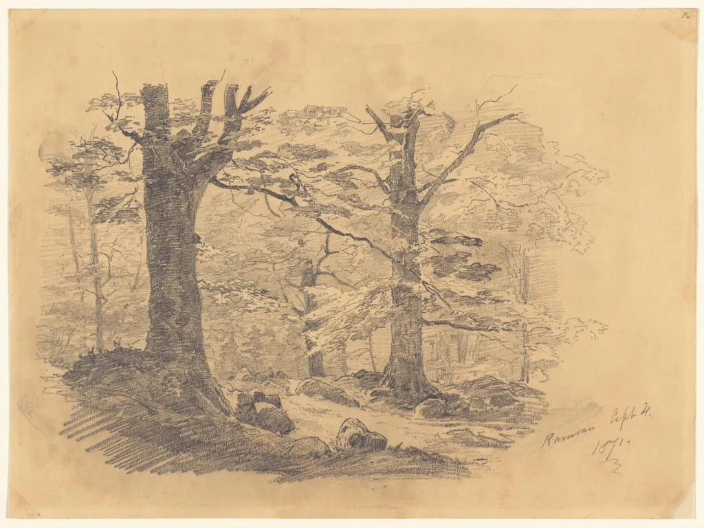 Forest, Ramsau, Germany, by John Singer Sargent, graphite, 1871
