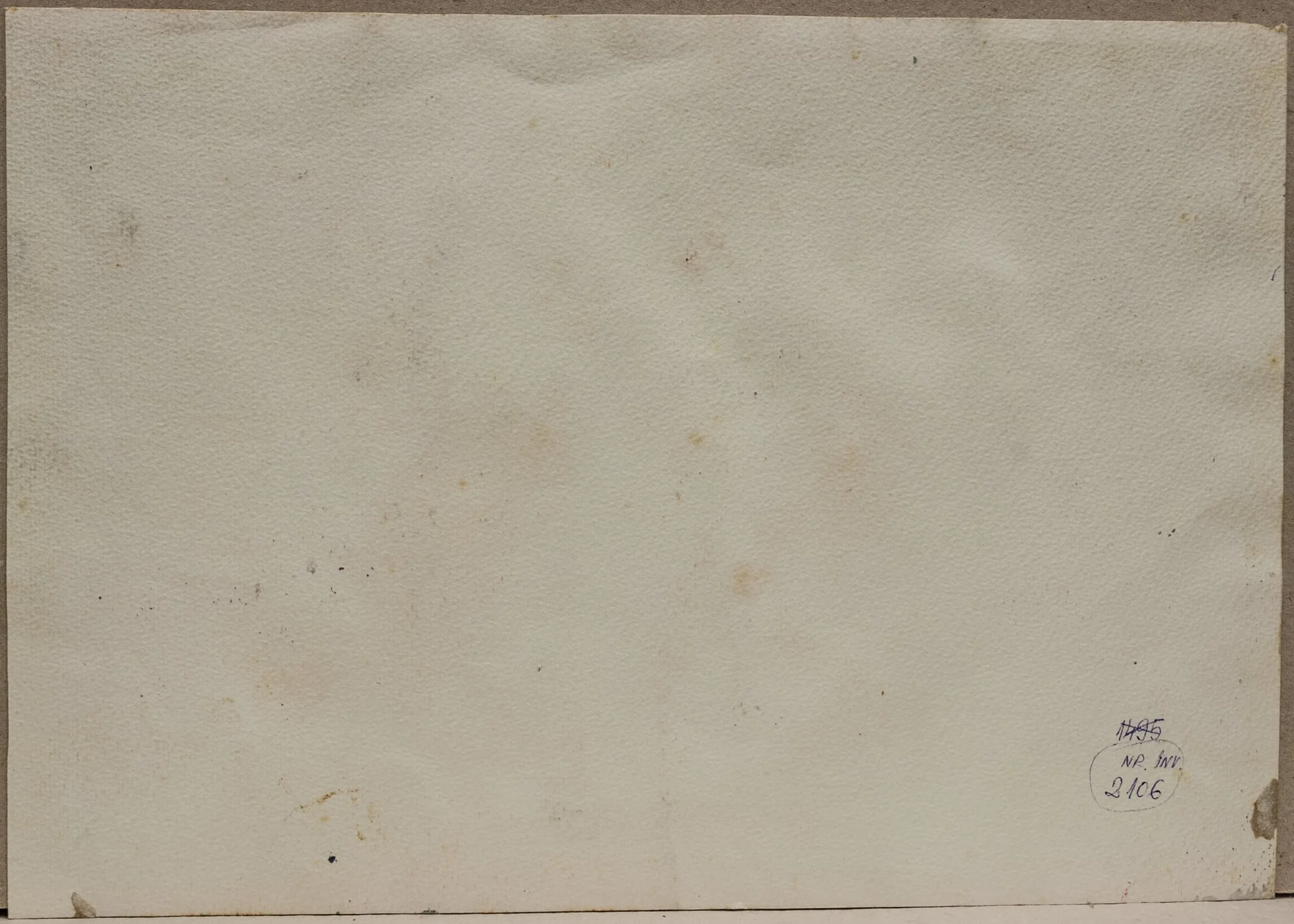 Flori în ulcea de lut, detail