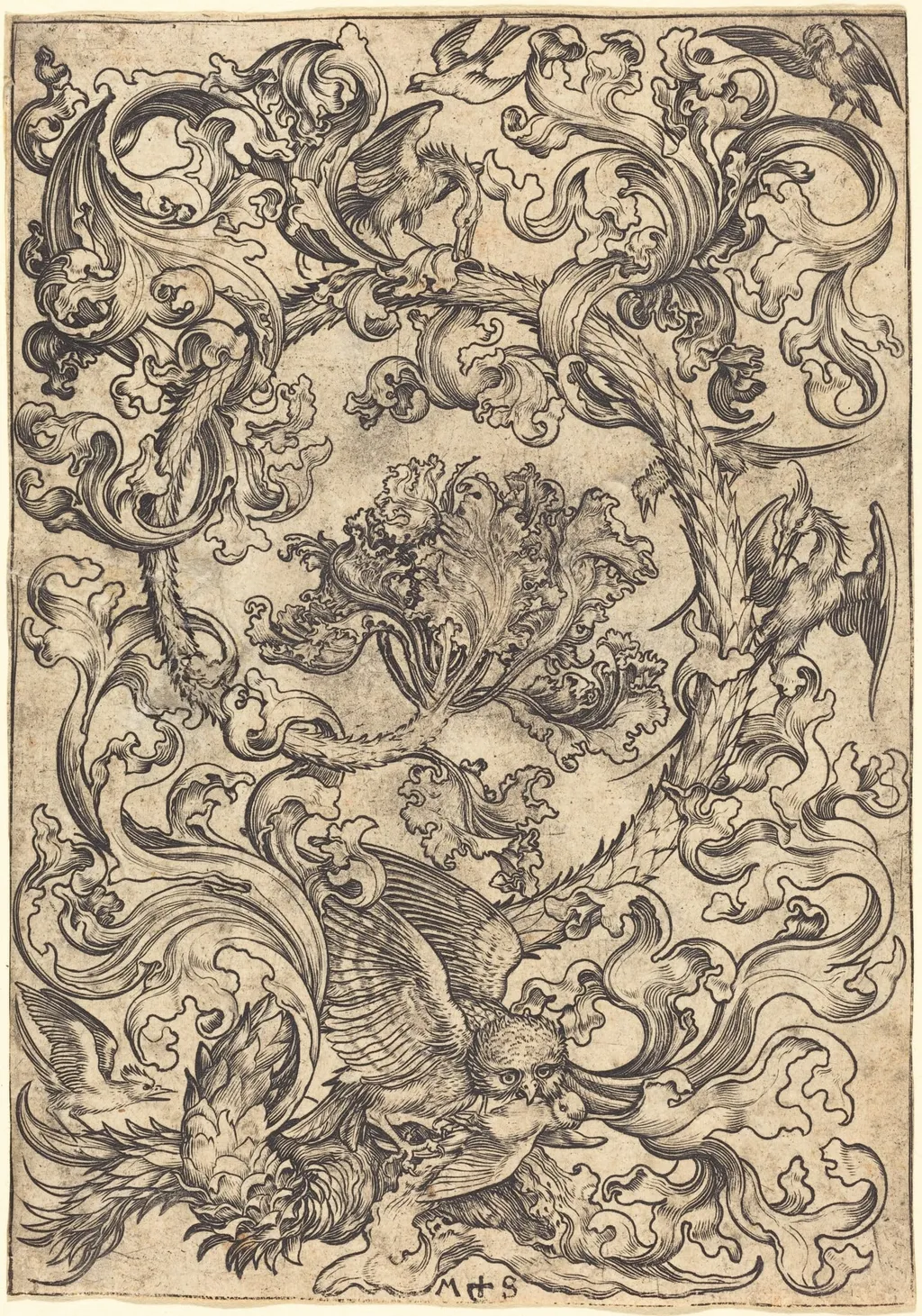 Ornament with Owl Mocked by Day Birds, by Martin Schongauer, ink, 1485