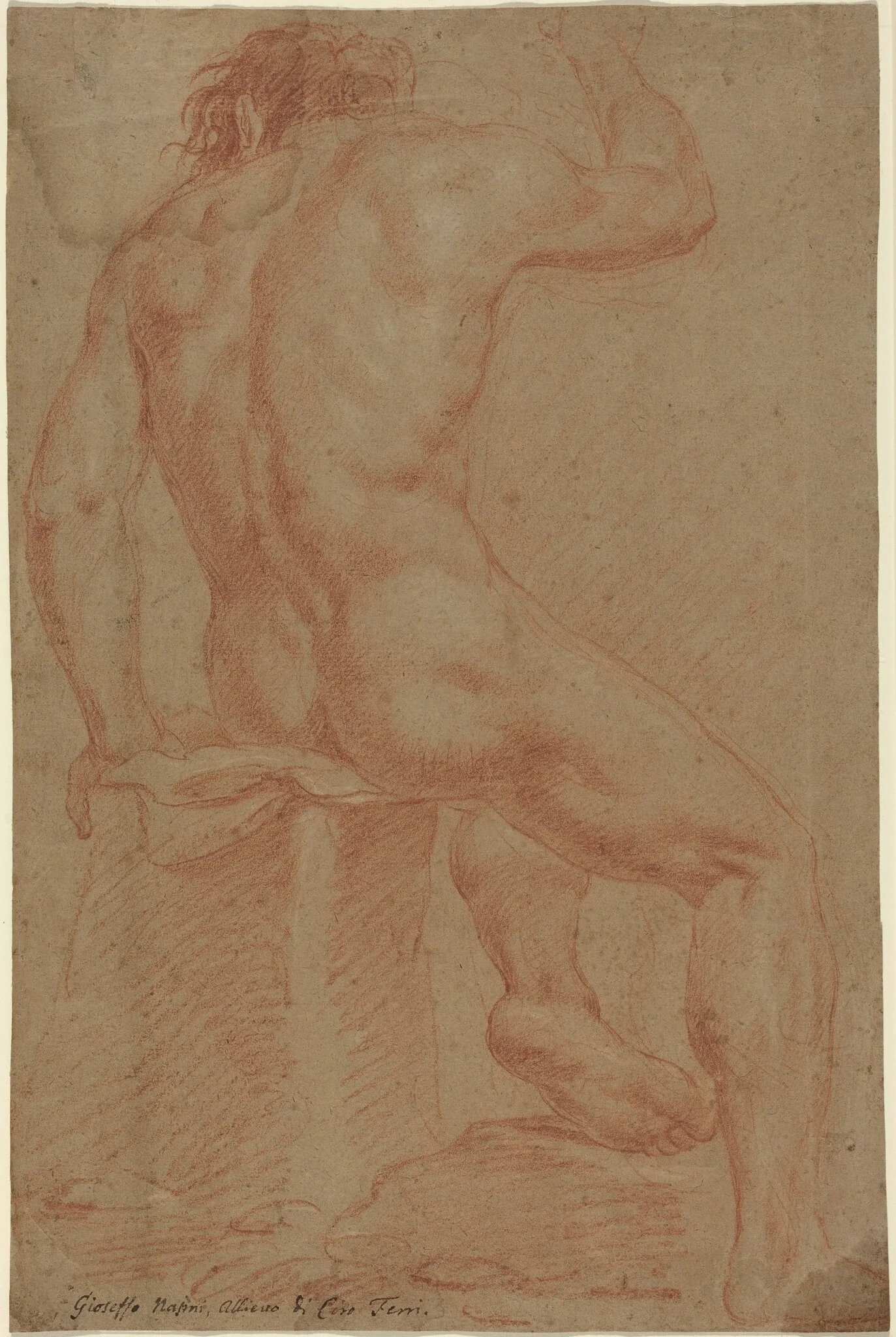 Nude Male Figure [recto], detail