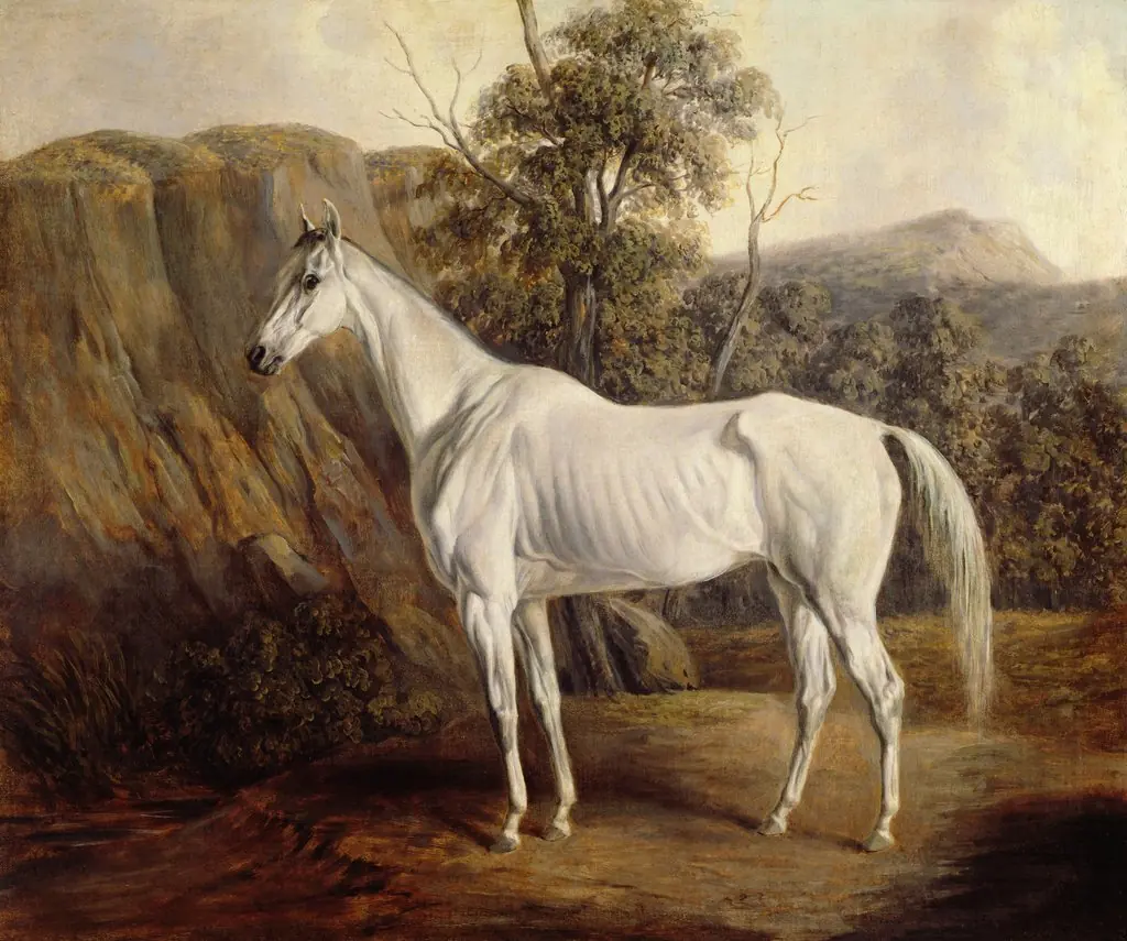 Bolivia, by Edward Troye, oil, 1836