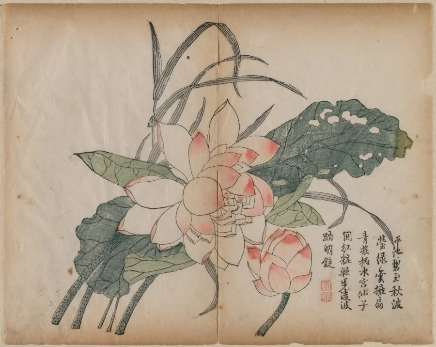 Flowering Lotus and Bud, detail