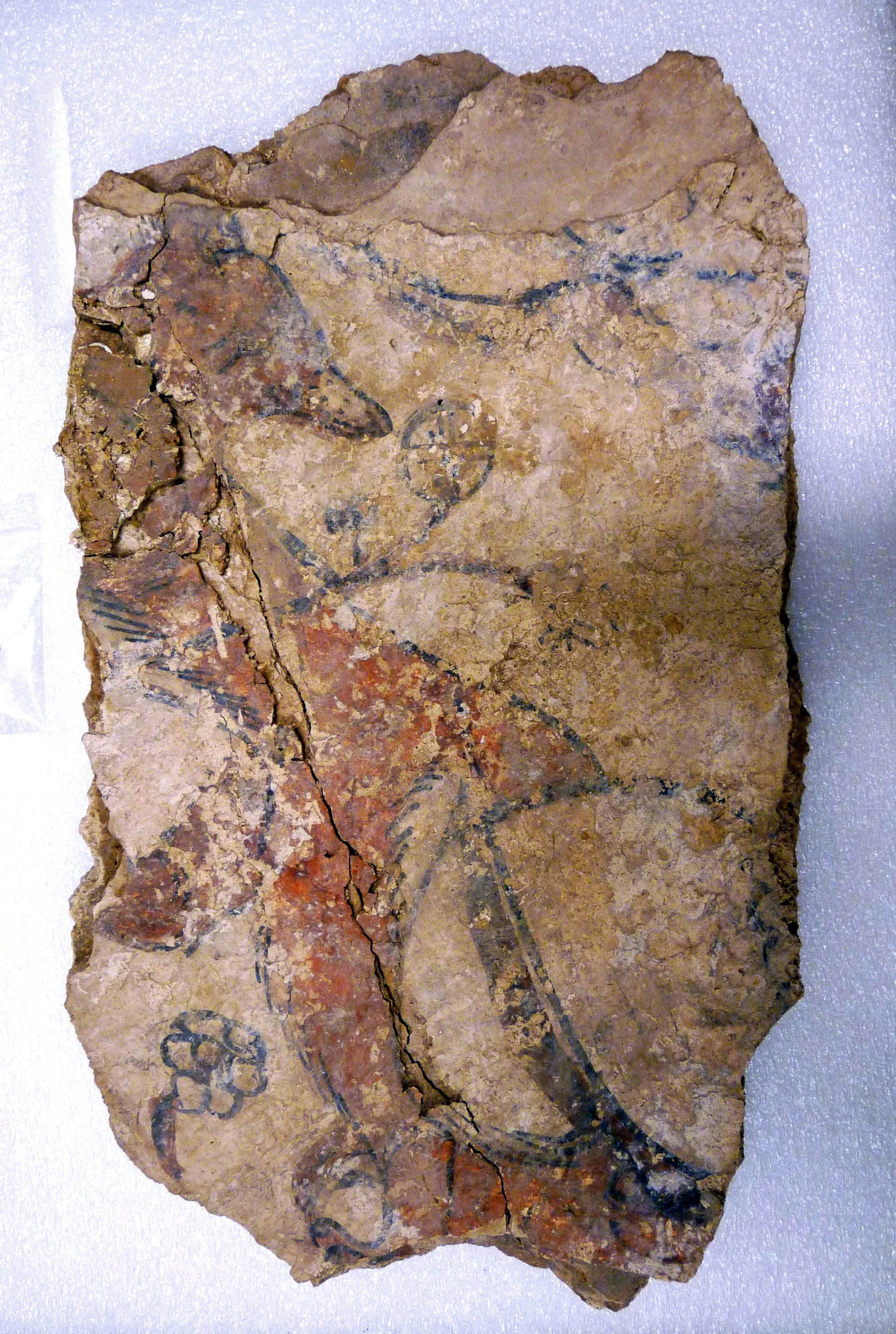 Fragment of a Wall Painting with a Fox or a Dog (and Painted Layers), detail