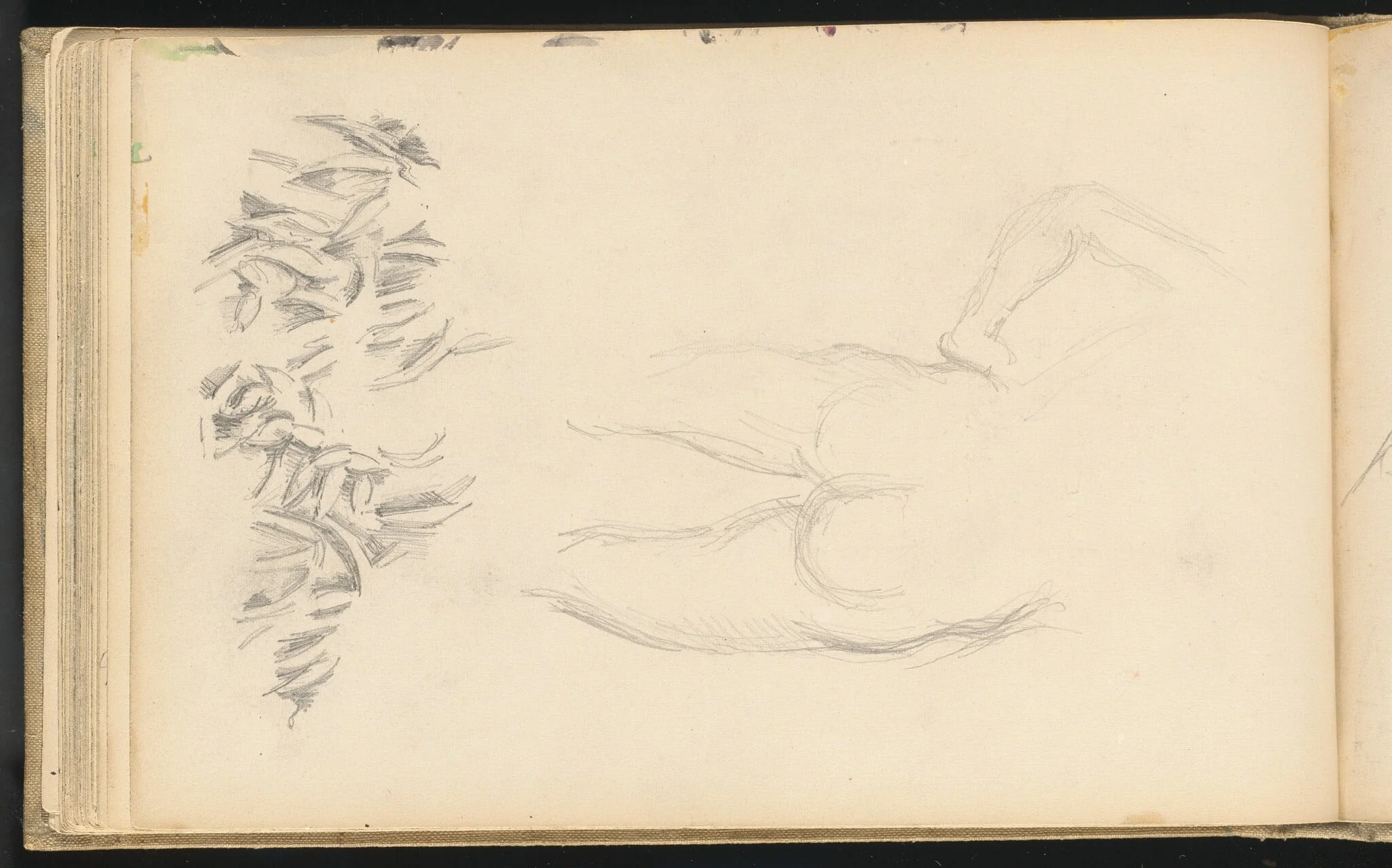 A Nude and Foliage, detail