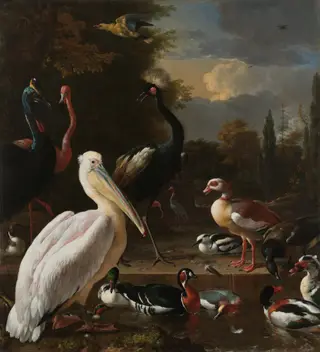 The Floating Feather, by Melchior d' Hondecoeter, oil, 1690