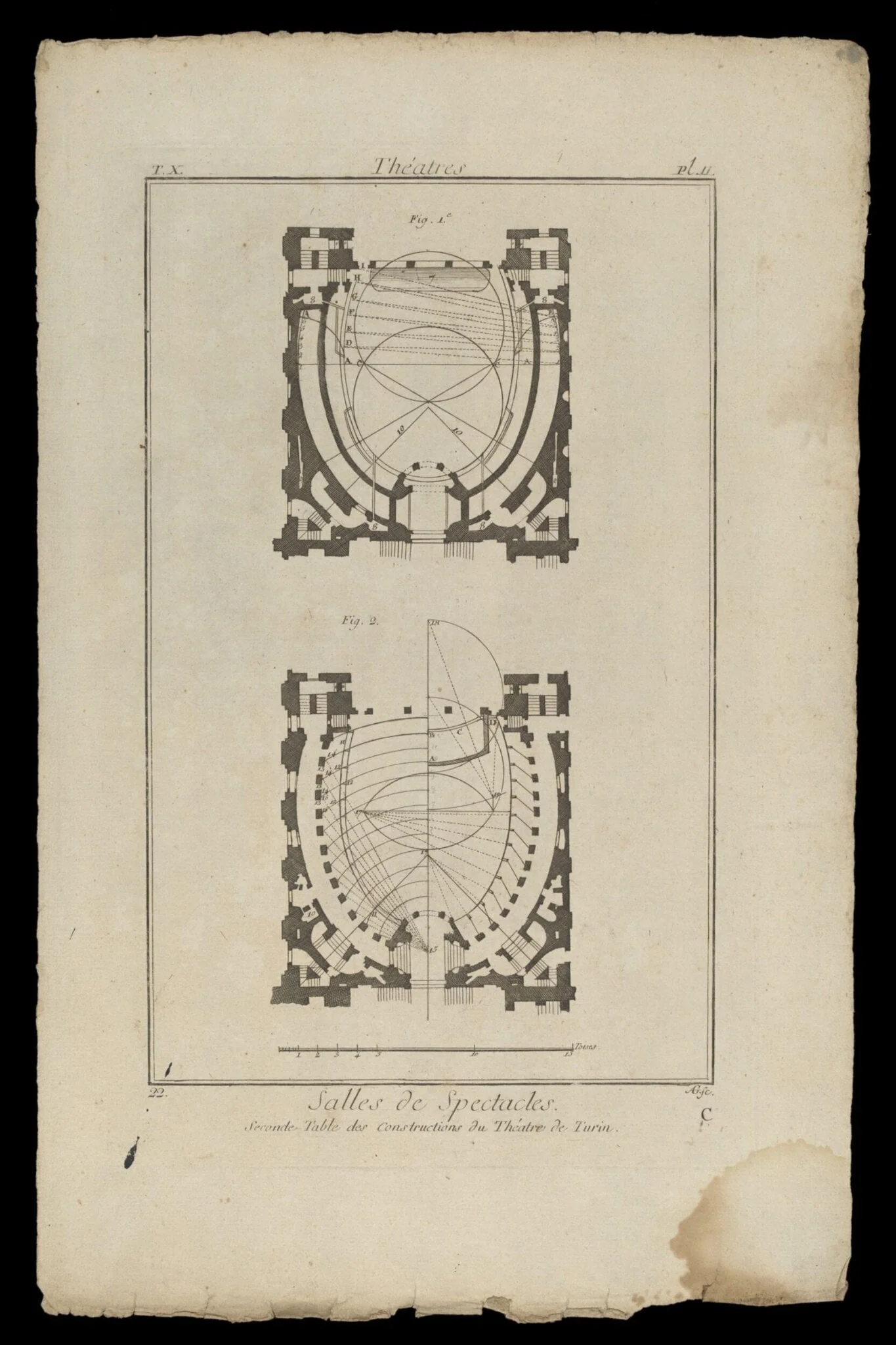 H Beard Print Collection, detail