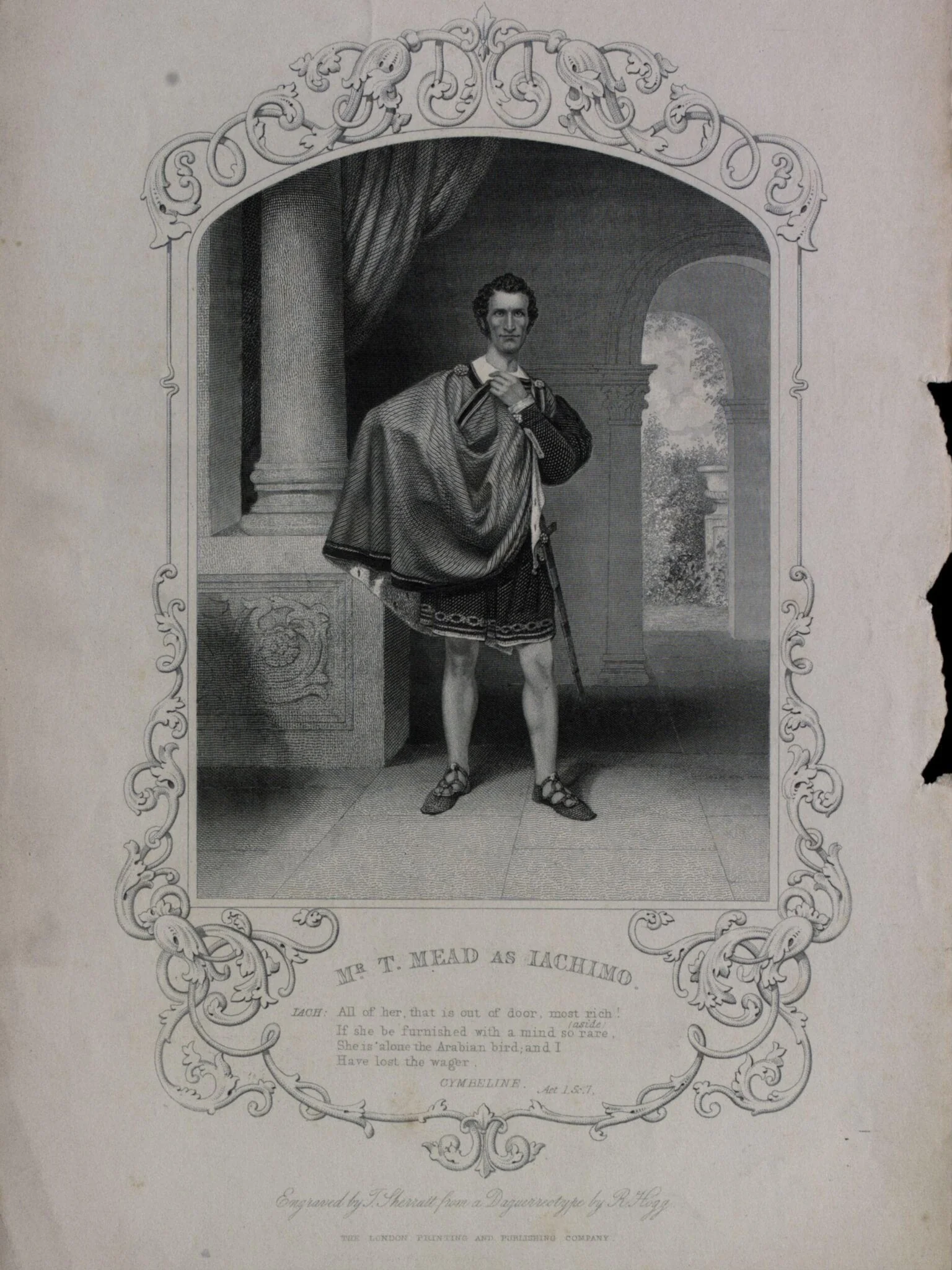 H Beard Print Collection, detail