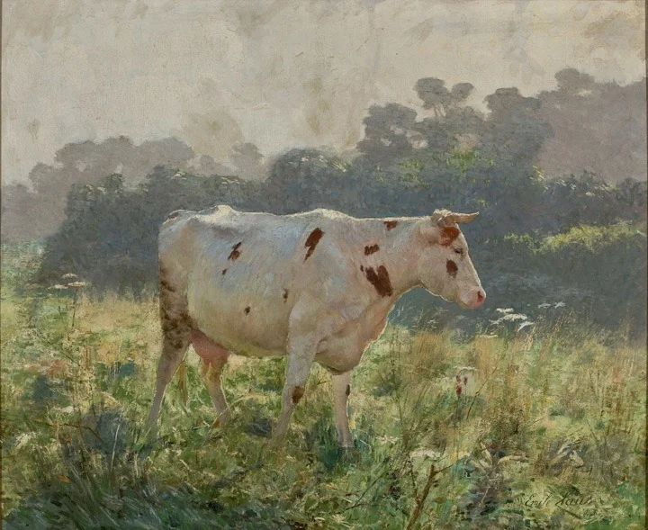 Cow, detail