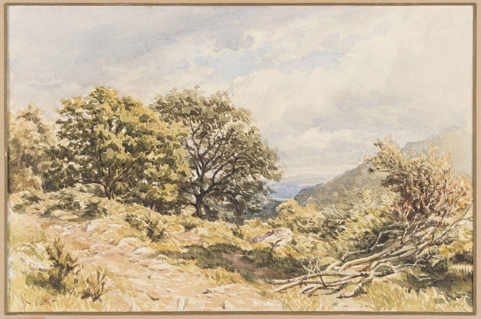 A Woody Bit, North Wales, detail