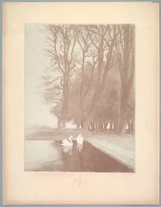 Suite de Paysages: Landscape, Plate 6, Remarque, Lilies, by Charles Marie Dulac, 1892
