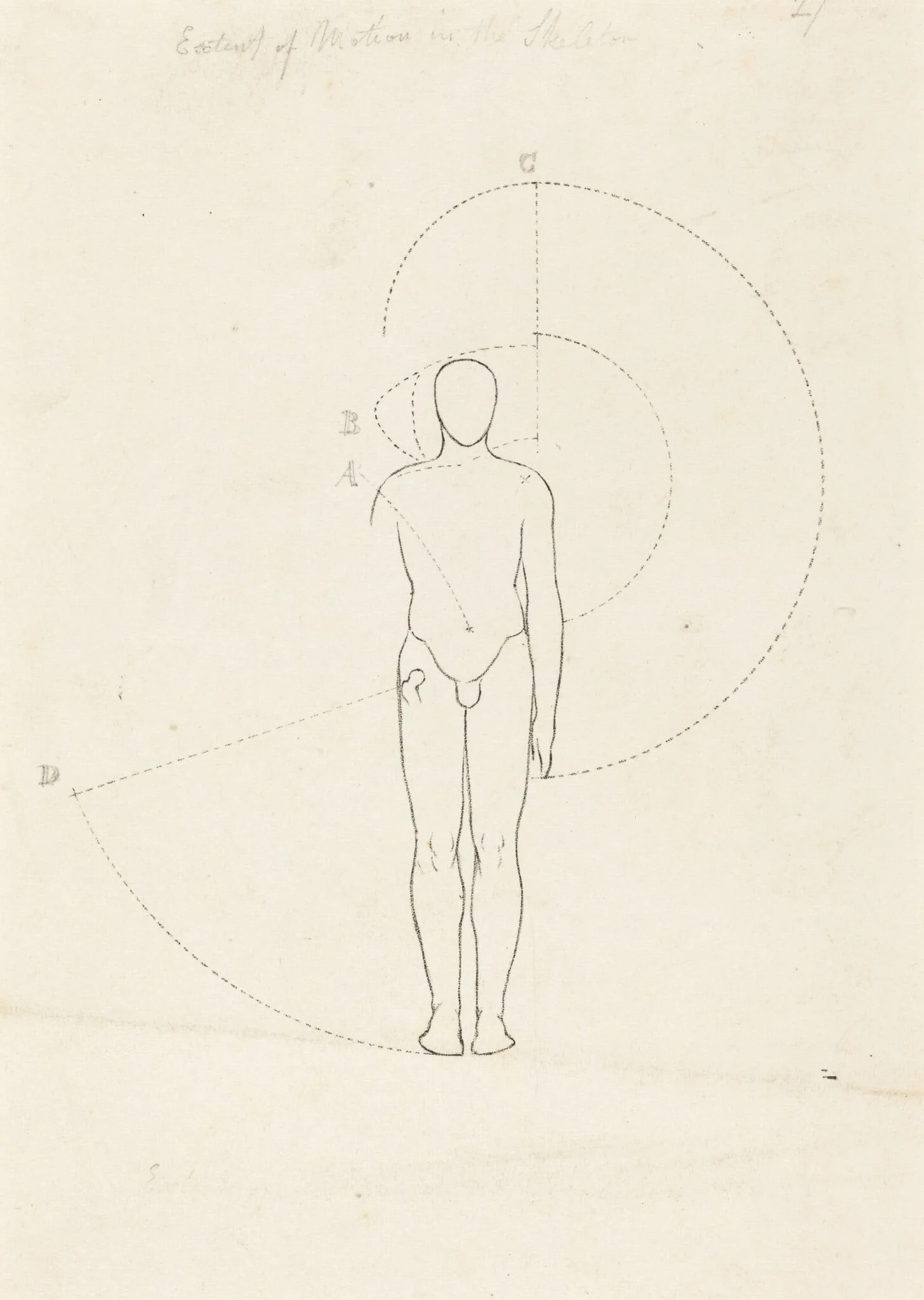Extent of Motion, One Figure, detail
