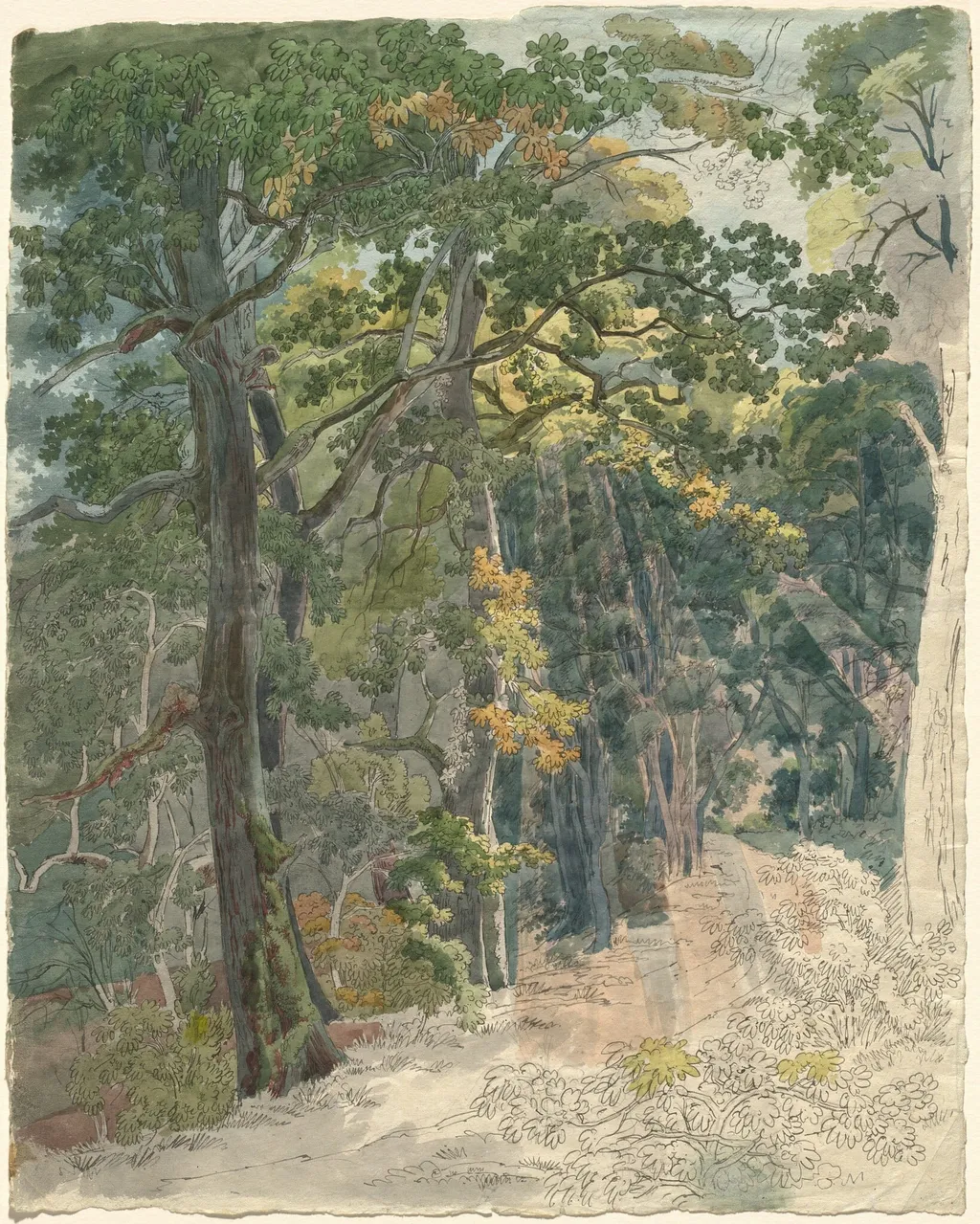 Rays of Sunlight Striking a Woodland Path, by Friedrich Salathé, ink, 1815