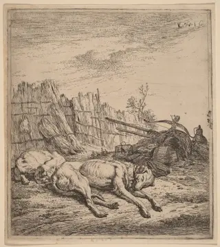 Hunting Dogs, by Karel Dujardin, ink, 1650