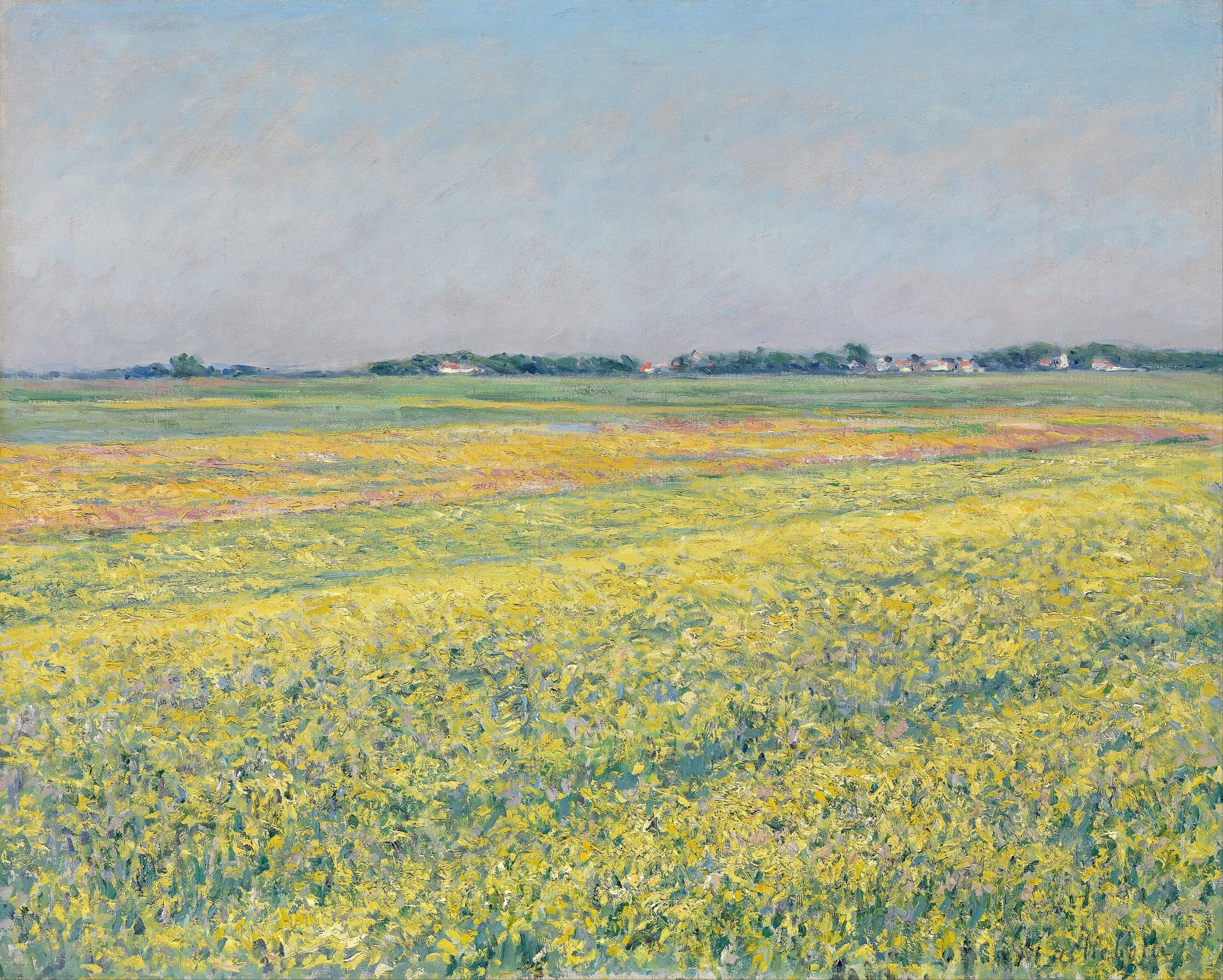 The plain of Gennevilliers, yellow fields, detail