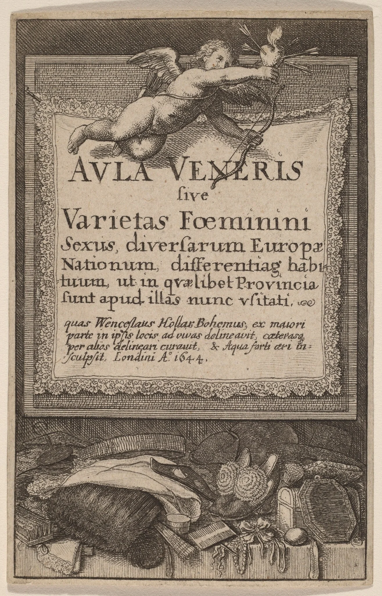 Aula Veneris: Title Page, detail