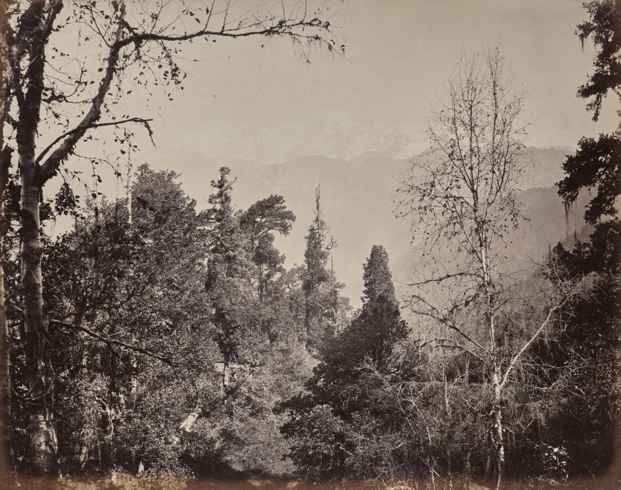 The Upper Himmalayahs. View of the Mountain of Bunderpoonch with the Jumnootri Peak, 20,458 above the Level of the Sea, detail