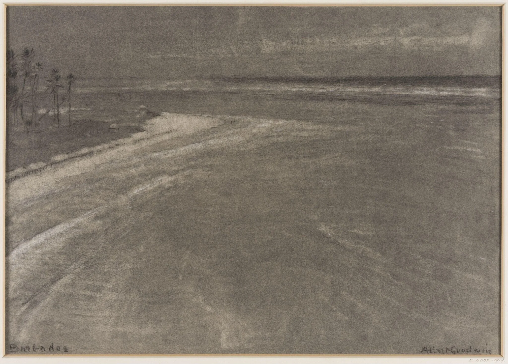 Barbados. A shore and seascape., detail