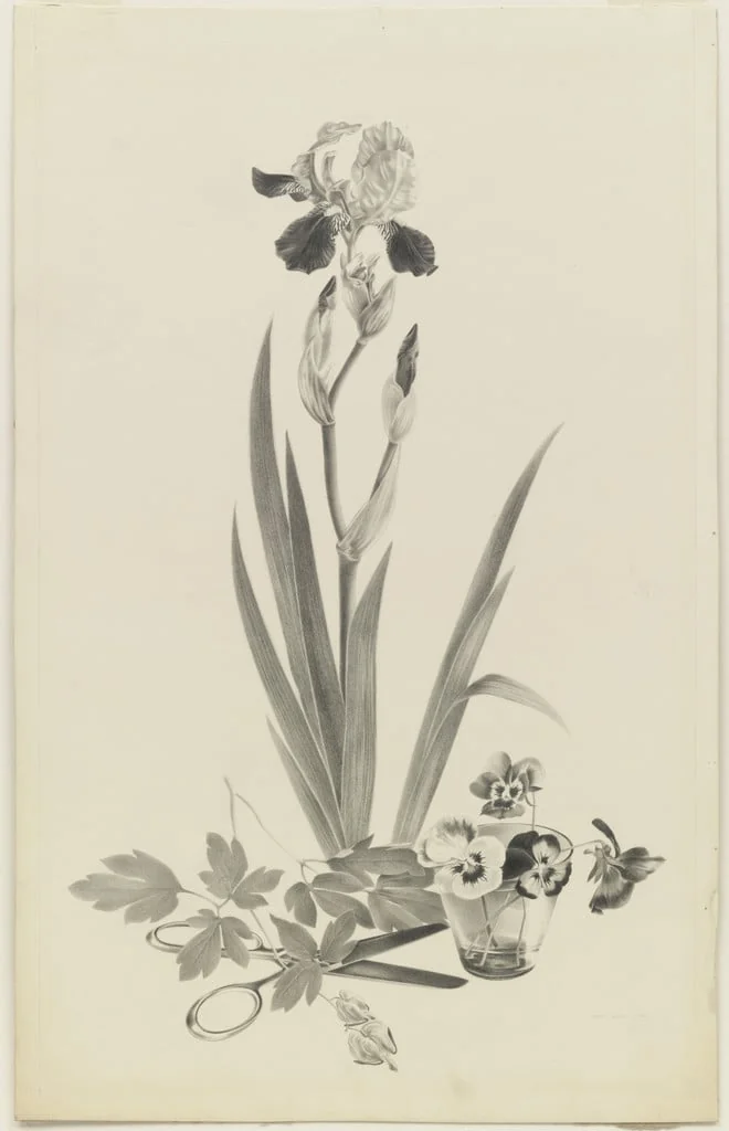 Untitled, detail