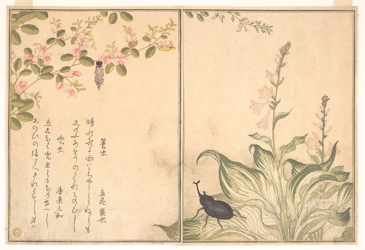 『画本虫撰』「蓑虫」「兜虫」|Bagworm (Minomushi); Horned Scarab Beetle (Kabutomushi), from the Picture Book of Crawling Creatures (Ehon mushi erami), detail