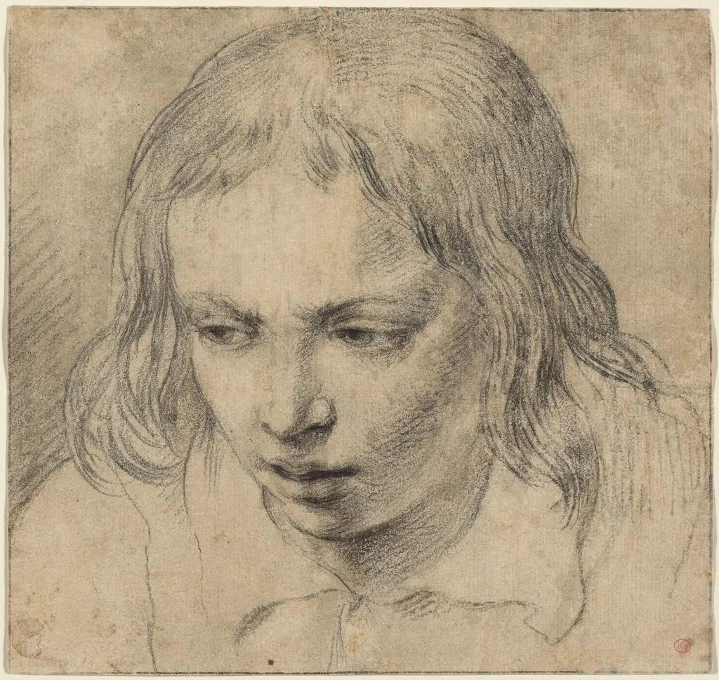 Head of a Young Man [recto], by Dutch 17th Century, chalk, 1650