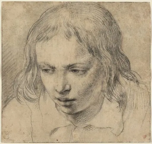 Head of a Young Man [recto], by Dutch 17th Century, chalk, 1650