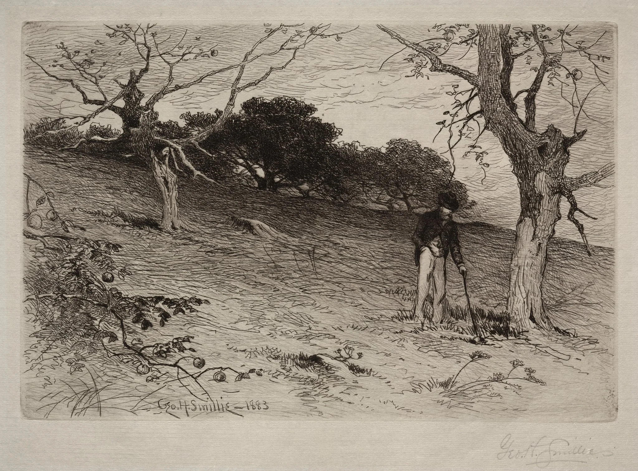 Landscape, detail