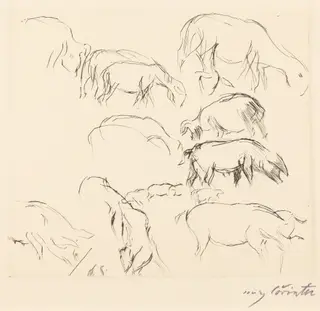 Verschiedene Tierstudien (Animal Studies), by Lovis Corinth, ink, 1917