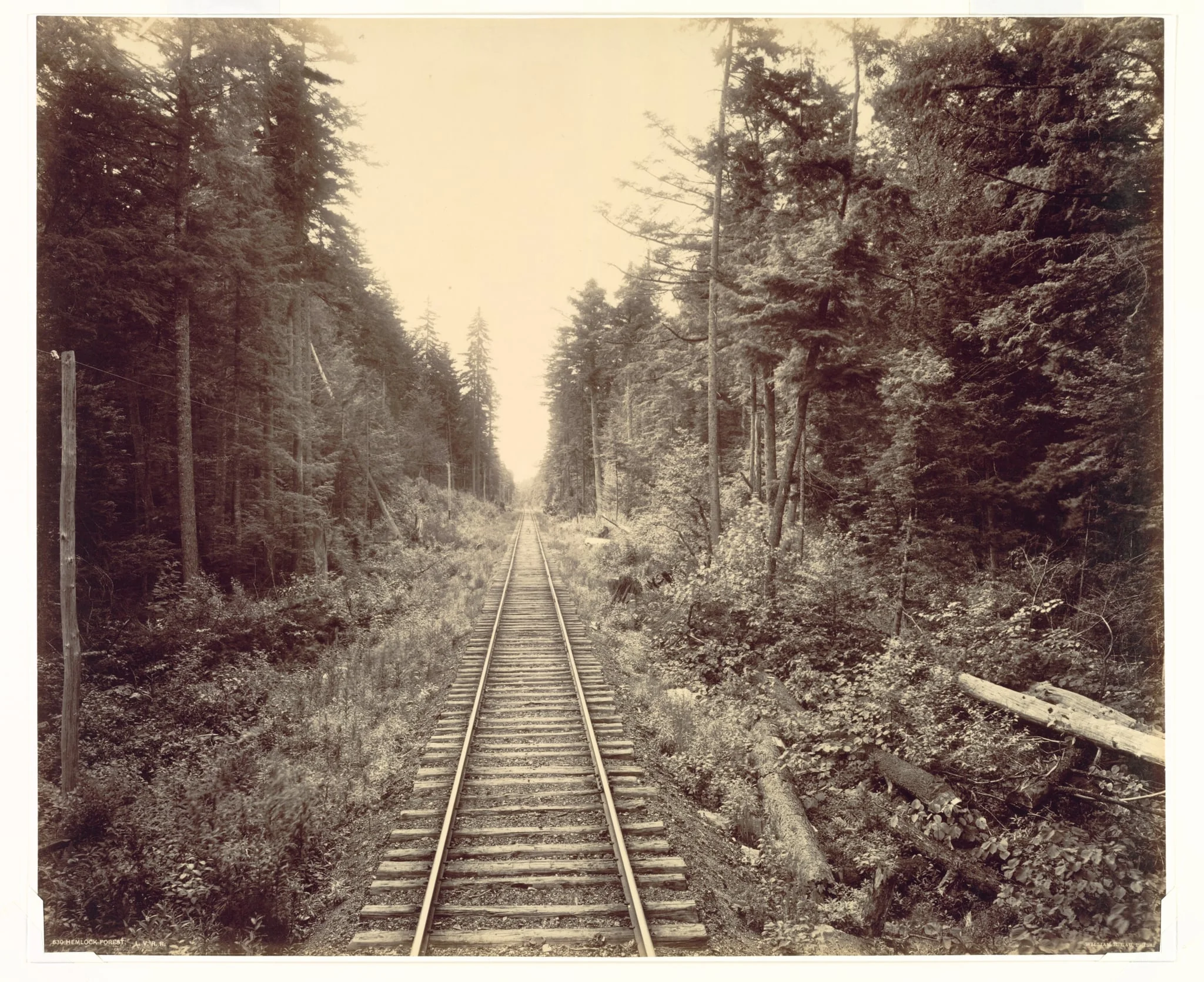 Hemlock Forest, Lehigh Valley Railroad, detail