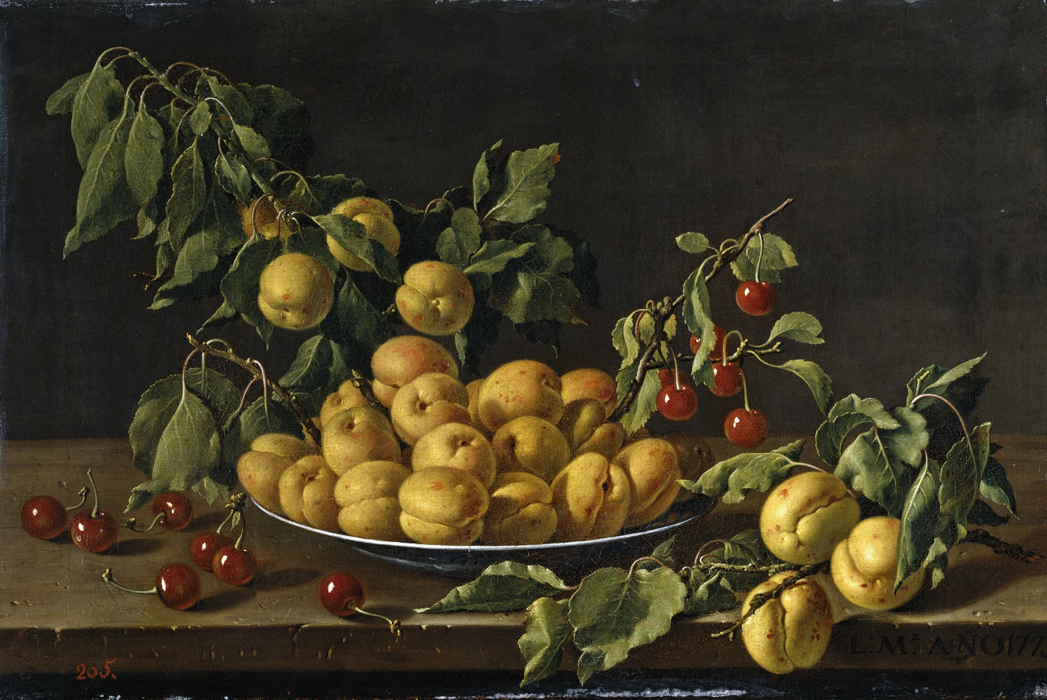 Still Life with Plate of Apricots and Morello Cherries, detail