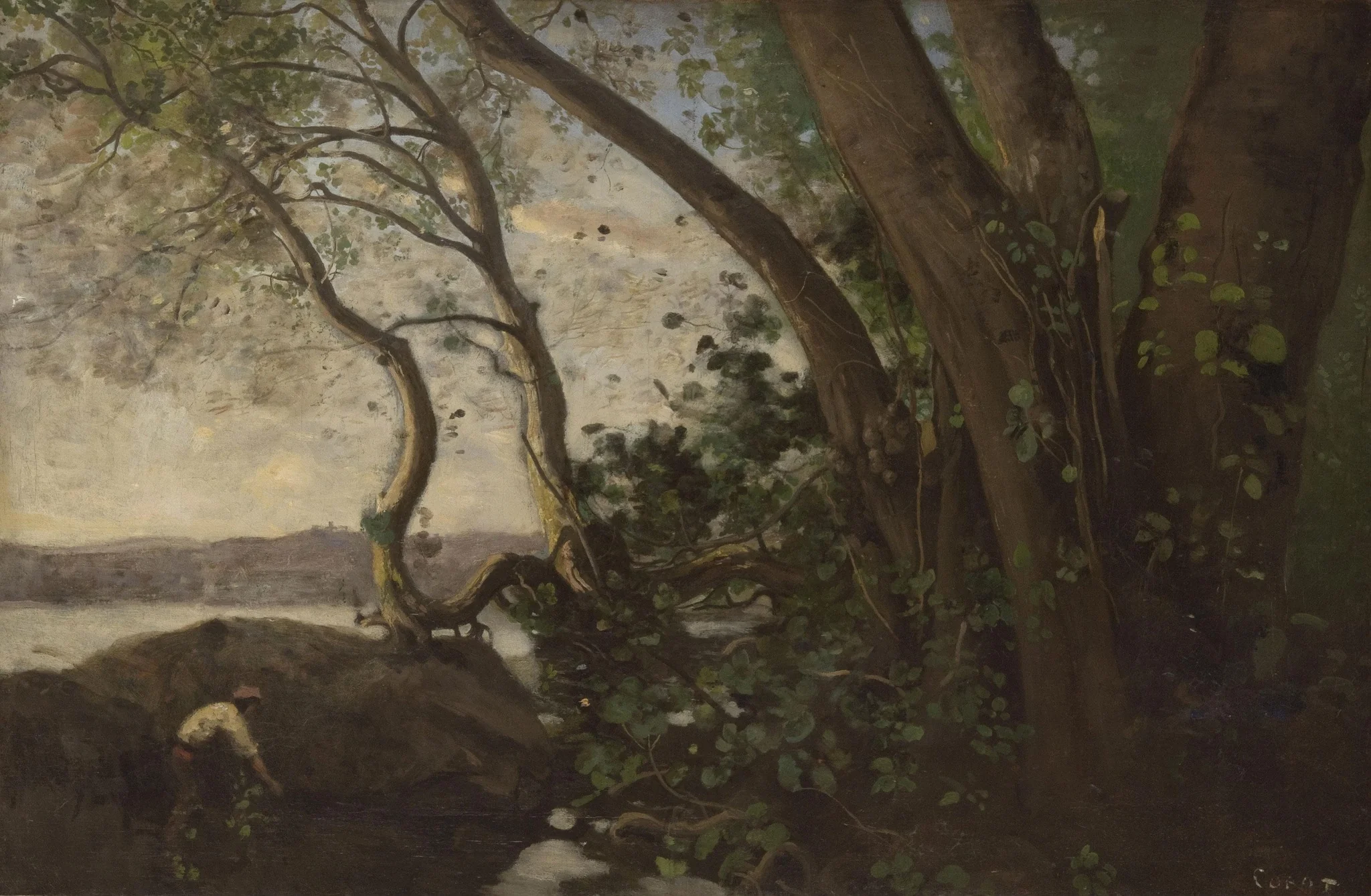 Edge of Lake Nemi, detail