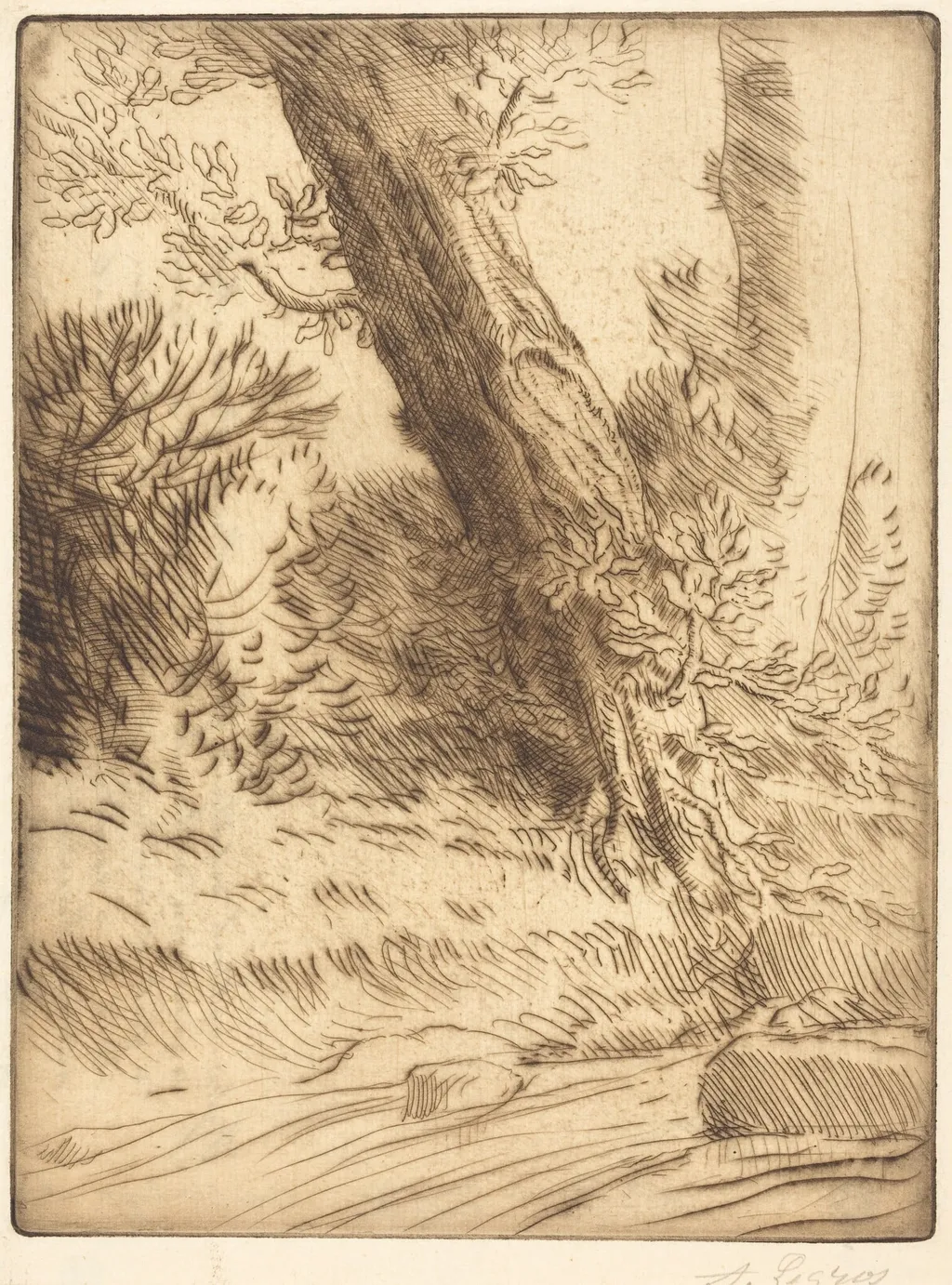 Edge of a Brook (Bord de ruisseau), by Alphonse Legros, ink, 1874