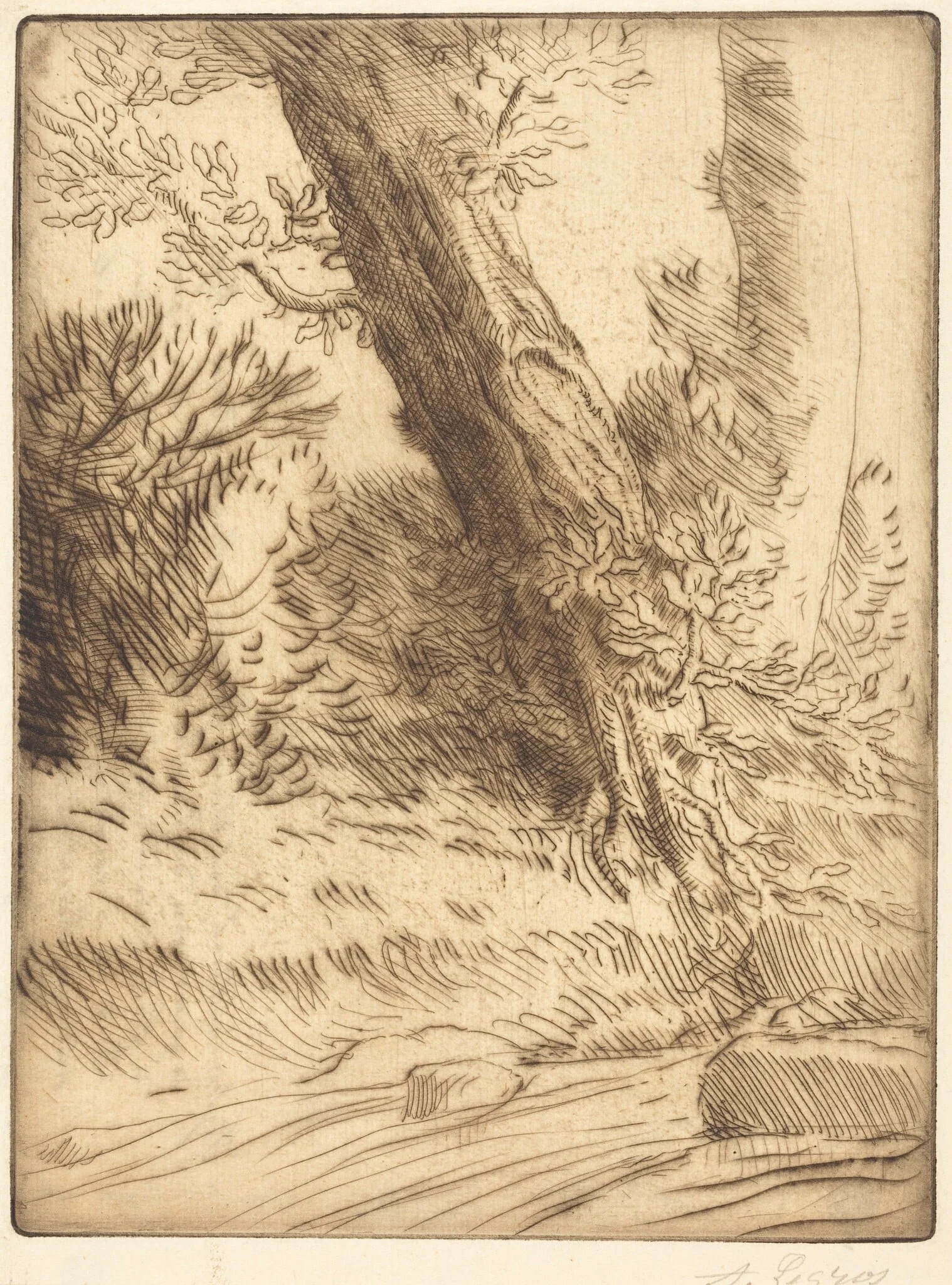 Edge of a Brook (Bord de ruisseau), detail