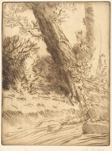 Edge of a Brook (Bord de ruisseau), by Alphonse Legros, ink, 1874