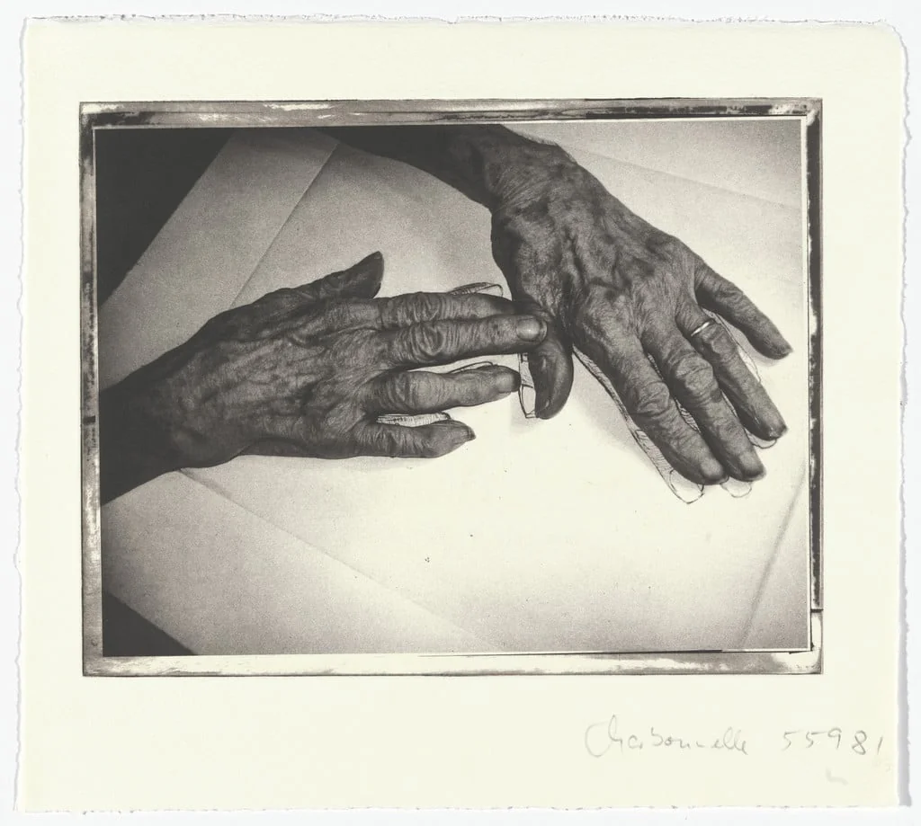 Untitled, detail