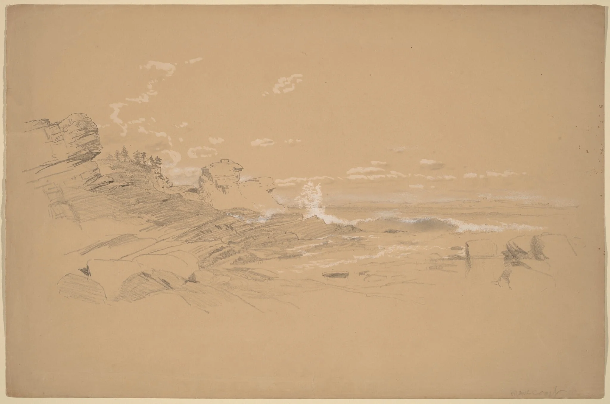 Maine Coast, detail