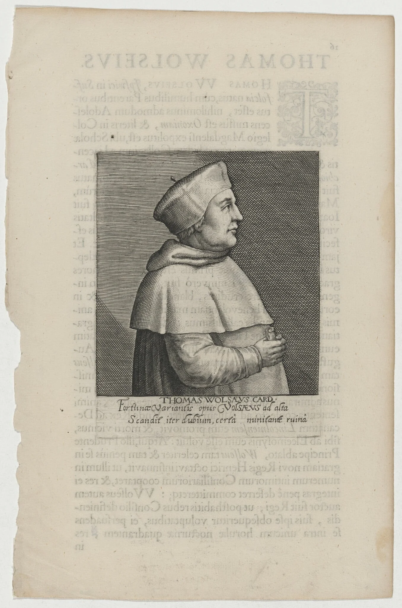 Thomas Wolsey, Cardinal, detail