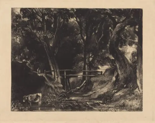 A Dell, Helmingham Park, Suffolk, by David Lucas, ink, 1830