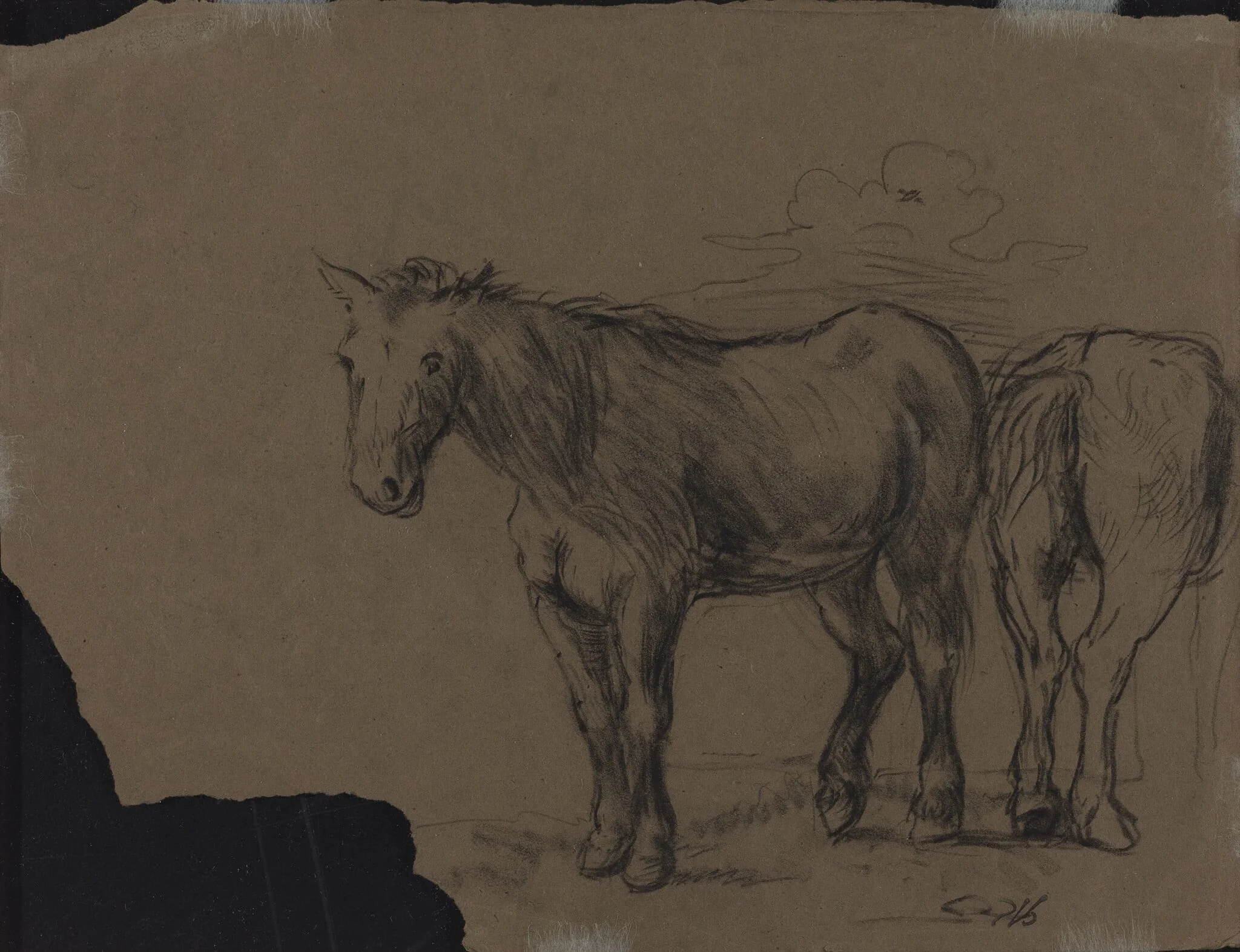 Horses, detail