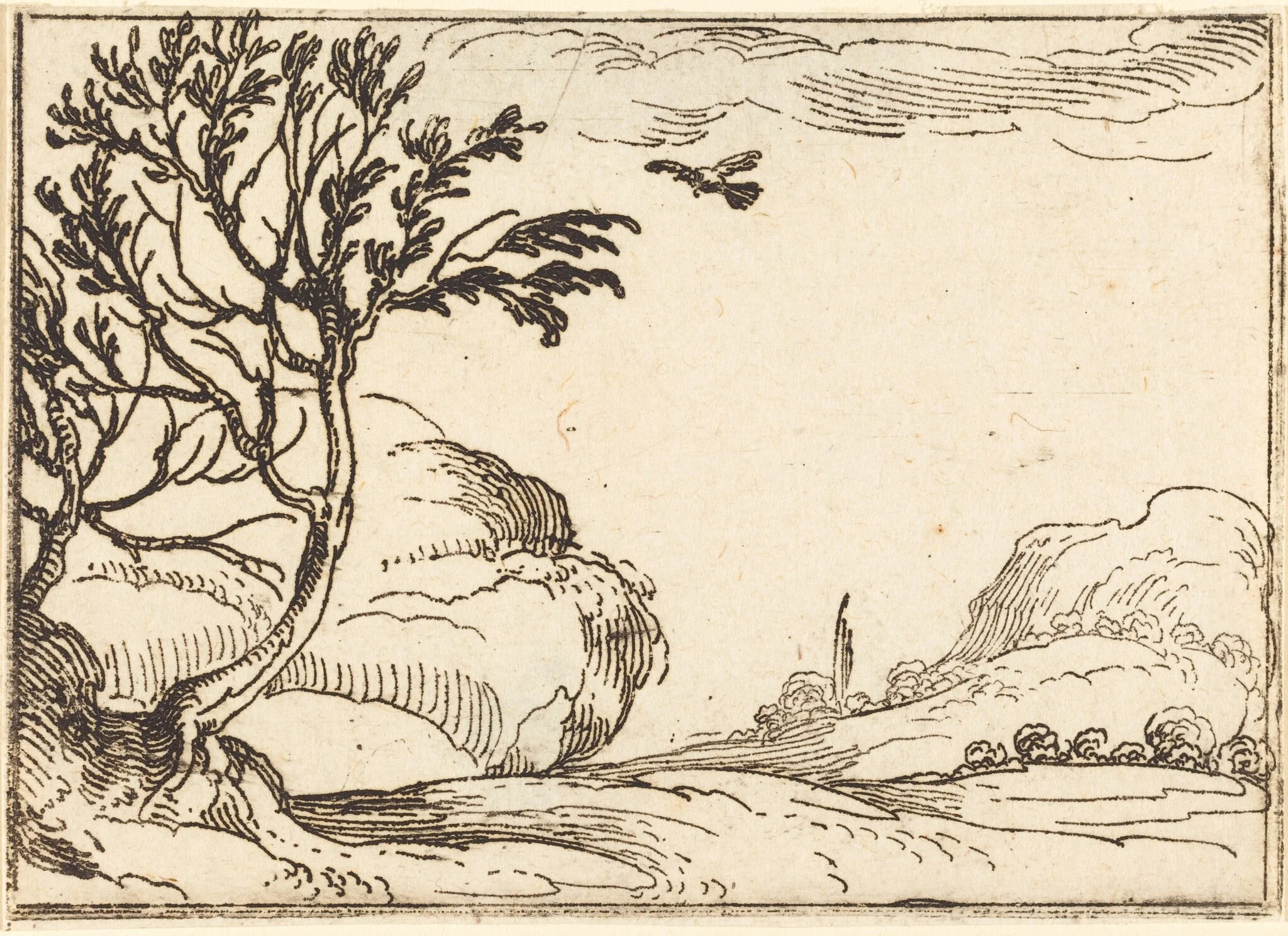 Turtle Dove Flying in the Desert, detail