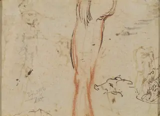 A Leg and a Pig's Head, by Jacques Callot, ink, 1616