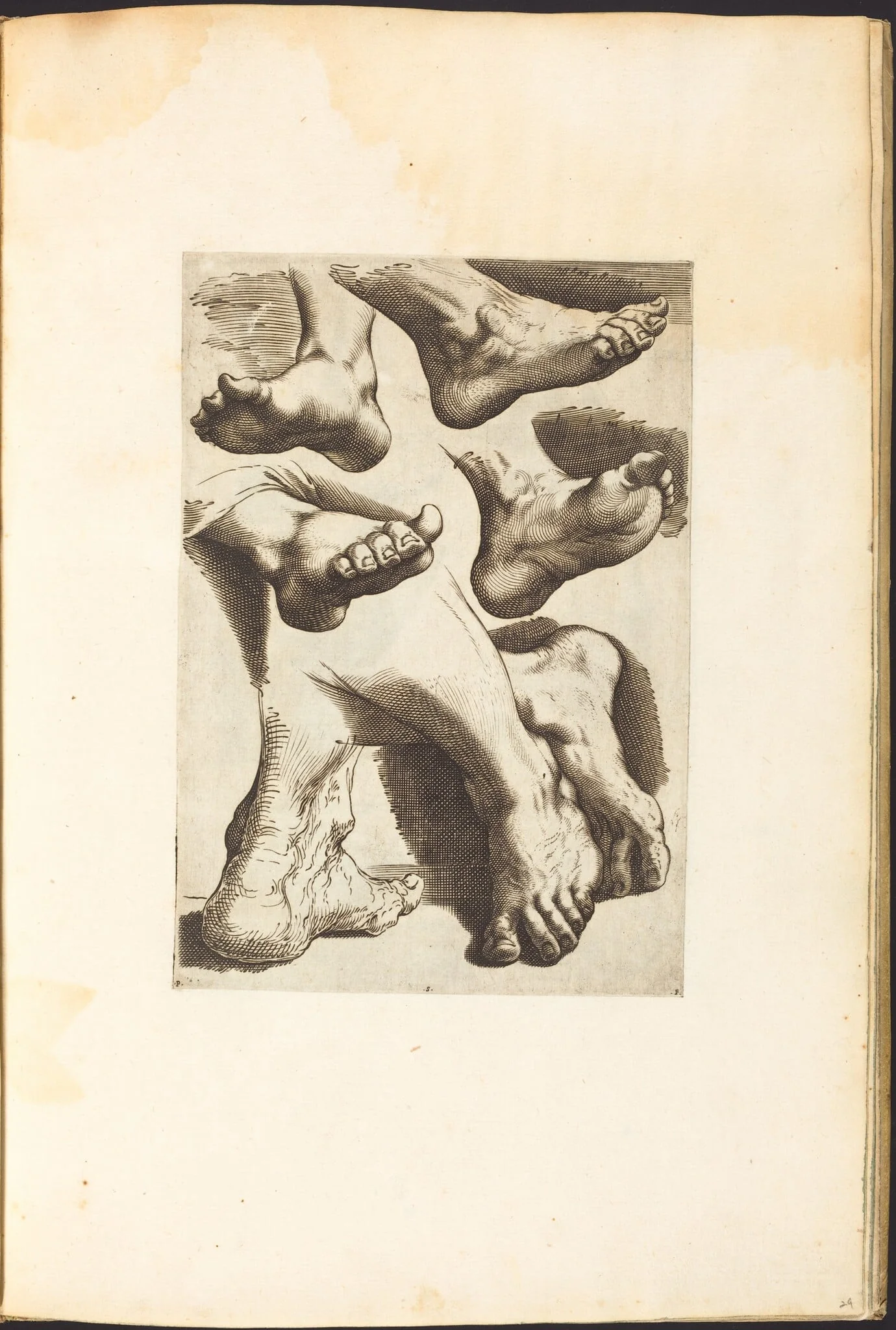 Print from Drawing Book, detail